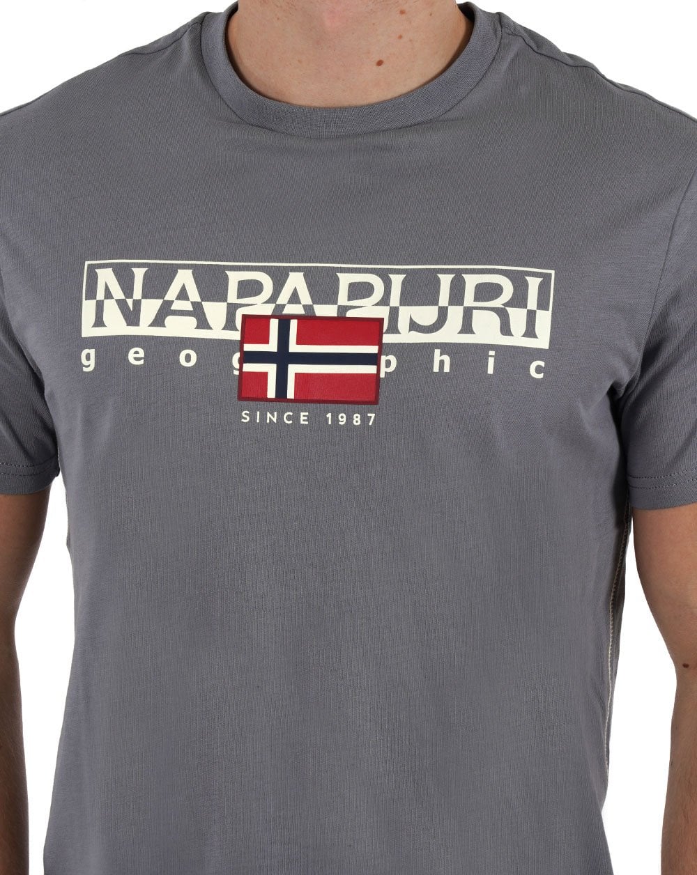 Napapijri Aylmer T-shirt Grey
