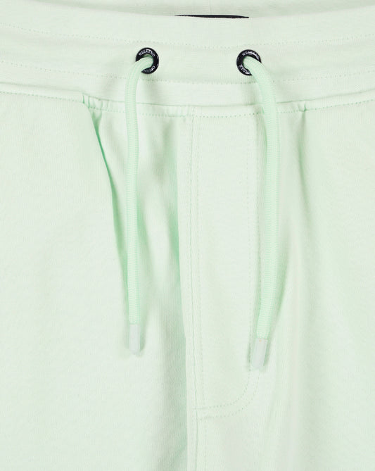 Weekend Offender Weekend Offender Nor'easter Cargo Shorts Amazonite