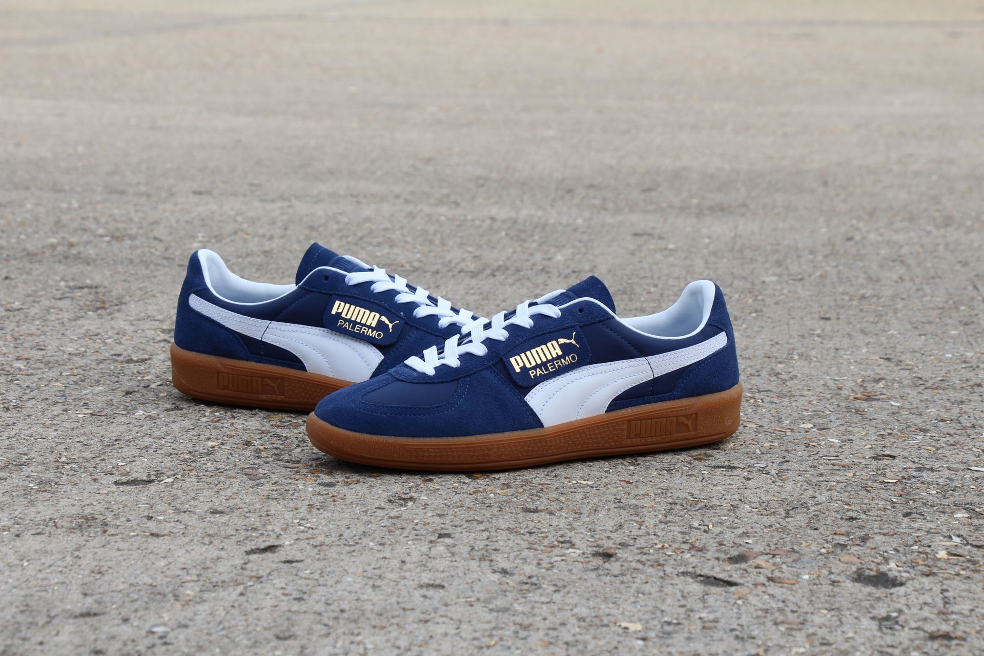 adidas gazelle silver green womens Buy Puma Palermo LTH Shoes for Men in Puma White & Clyde Royal main image 1