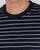 Franklin And Marshall Striped T-shirt Navy/White