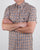 Aquascutum York Short Sleeve Club Check Shirt Vicuna
