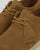 Clarks Originals Ashton Suede Shoes Oak