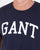 Gant Graphic T-shirt Navy