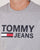 Tommy Hilfiger Classic Logo T-shirt Grey Heather