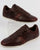 Lacoste Storda Trainer Dark Brown/Off White