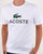 Lacoste Logo T-shirt White