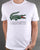 Lacoste Logo T-shirt White