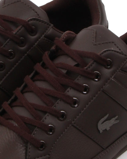 Lacoste Chaymon Trainer Dark Brown