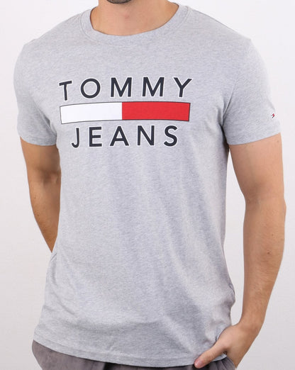 Tommy Hilfiger Logo T-shirt Light Grey