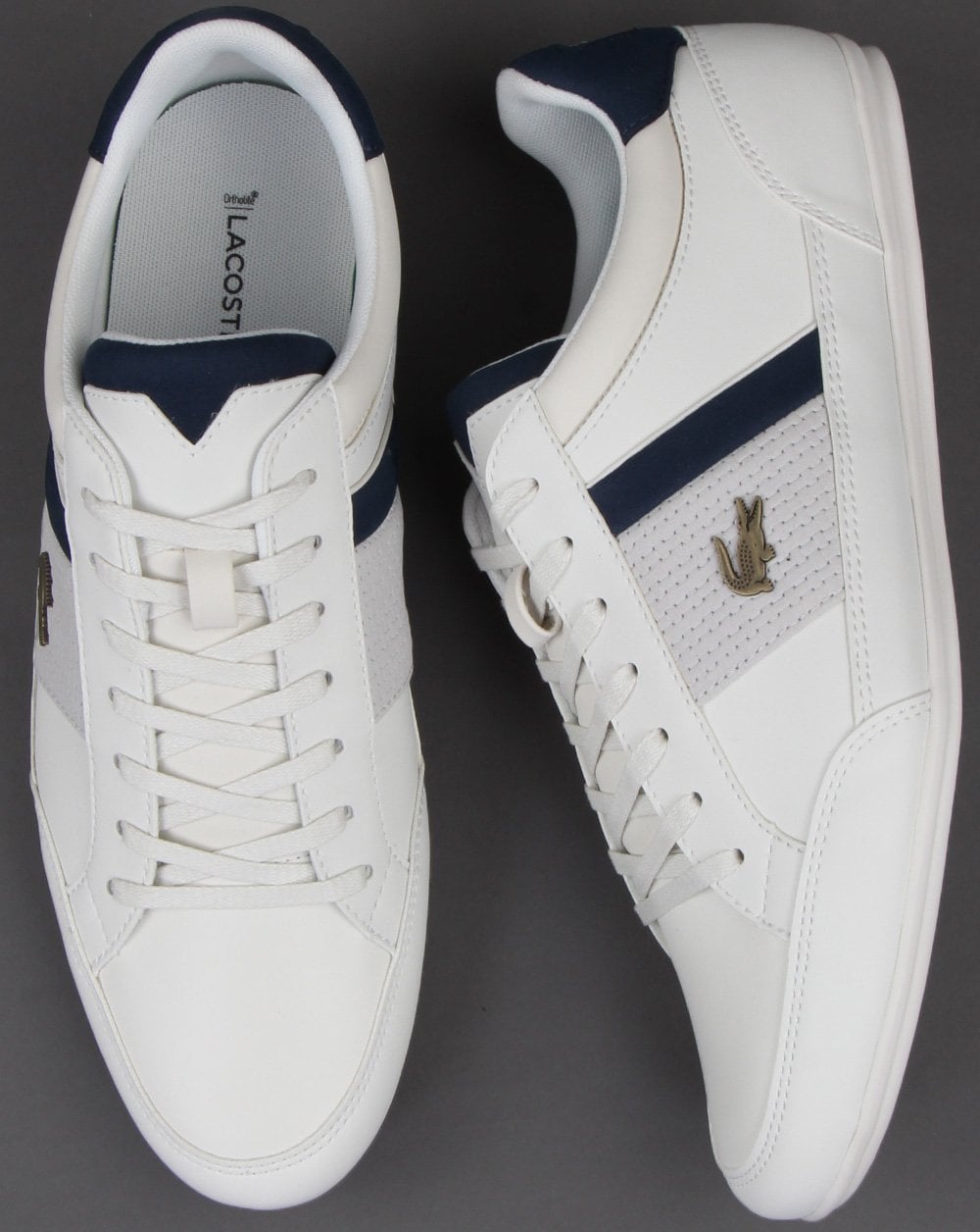 Lacoste Footwear Chaymon Trainer White/Navy