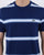 Lacoste Striped T-shirt Blue/White