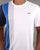Lacoste Stripe T-shirt White/Navy/Blue