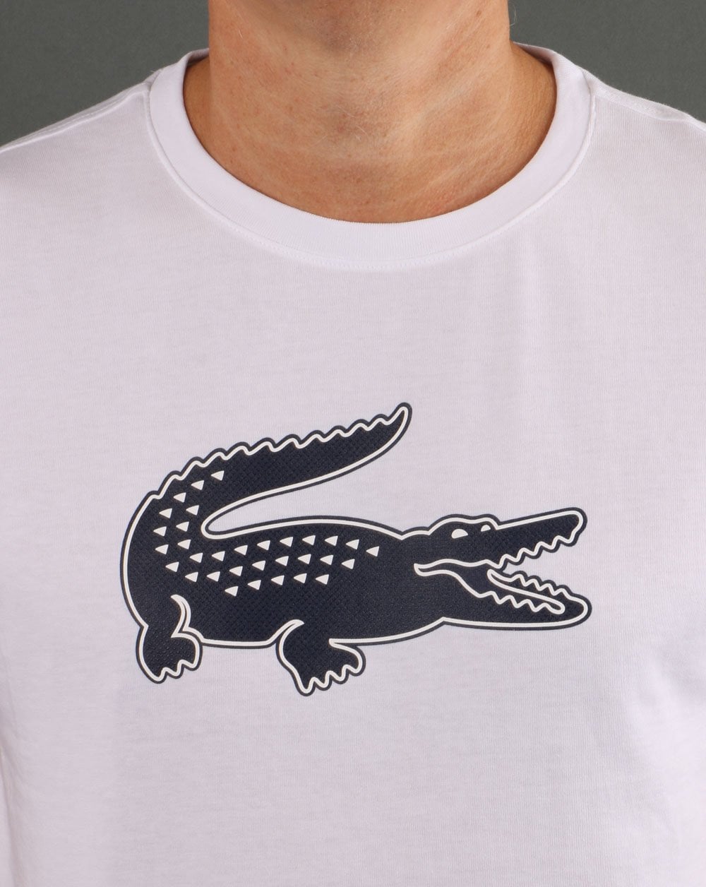 Lacoste Logo T-shirt White/navy