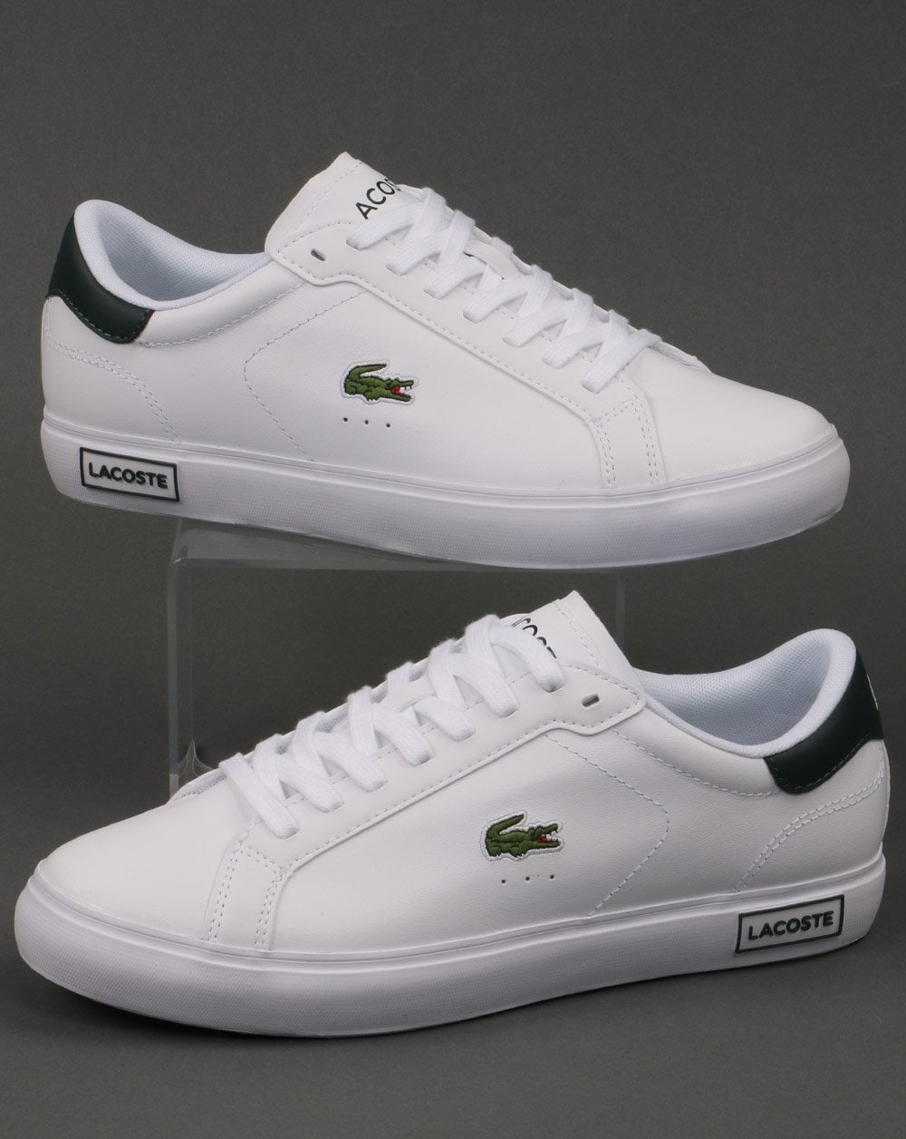 Lacoste Footwear Powercourt Trainer White/dark Green
