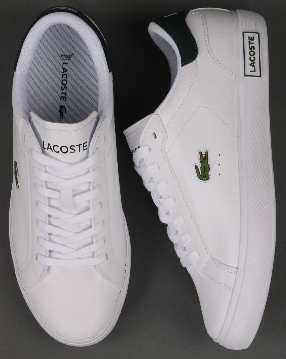 Lacoste Footwear Powercourt Trainer White/dark Green