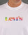 Levis Vintage Graphic Tee Tie Dye