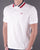Barbour Hawkeswater Tipped Polo White/Red/Blue