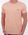 Lacoste T Shirt Peach