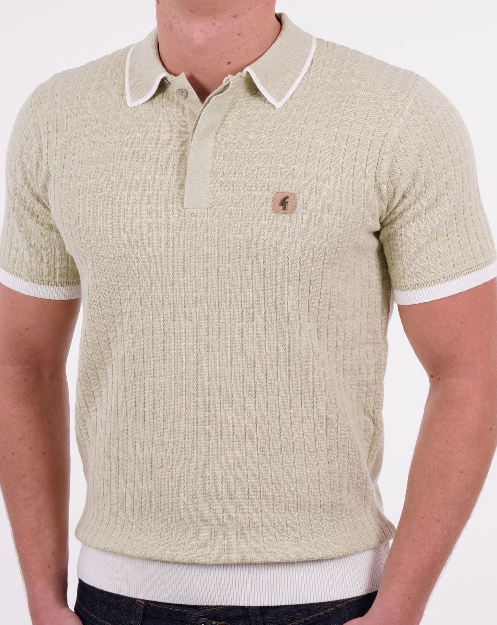 Gabicci Vintage Jura Knit Polo Pistachio