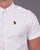 Luke Cambridge Short Sleeve Shirt White