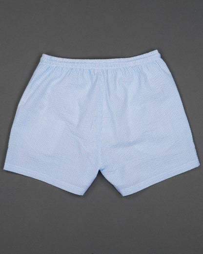 Ellesse Carali Stripe Swim Shorts Sky Blue