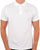Barbour Sports Polo White