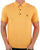 Gabicci Vintage Jackson Polo Pineapple