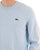 Lacoste Cotton Blend Crew Knit Sky Blue